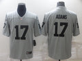 Men's Las Vegas Raiders Davante Adams #17 Gray Inverted Legend Jerseys