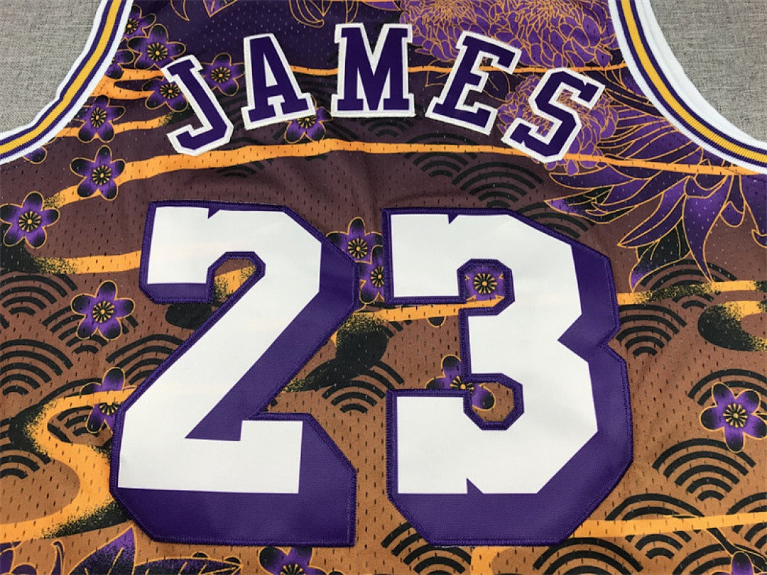 NBA retro Los Angeles Lakers #23 LeBron James jersey