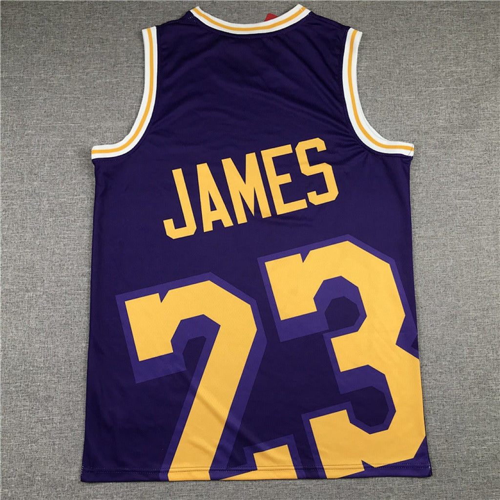 NBA Retro Los Angeles Lakers #23 James Collaboration Jersey