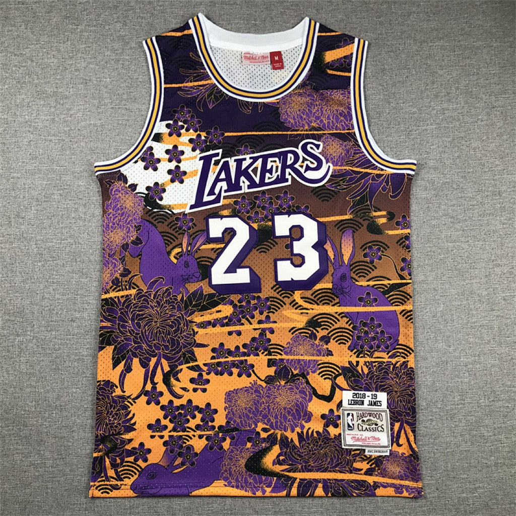 NBA retro Los Angeles Lakers #23 LeBron James jersey